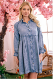 Becca Front Button Denim Dress