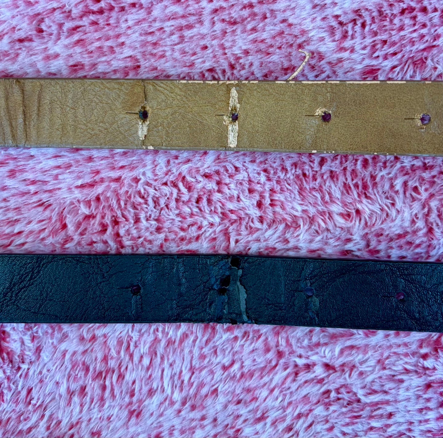 Turquoise Loop Leather Belt