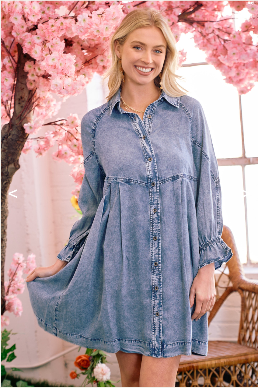 Becca Front Button Denim Dress