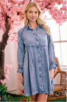 Becca Front Button Denim Dress