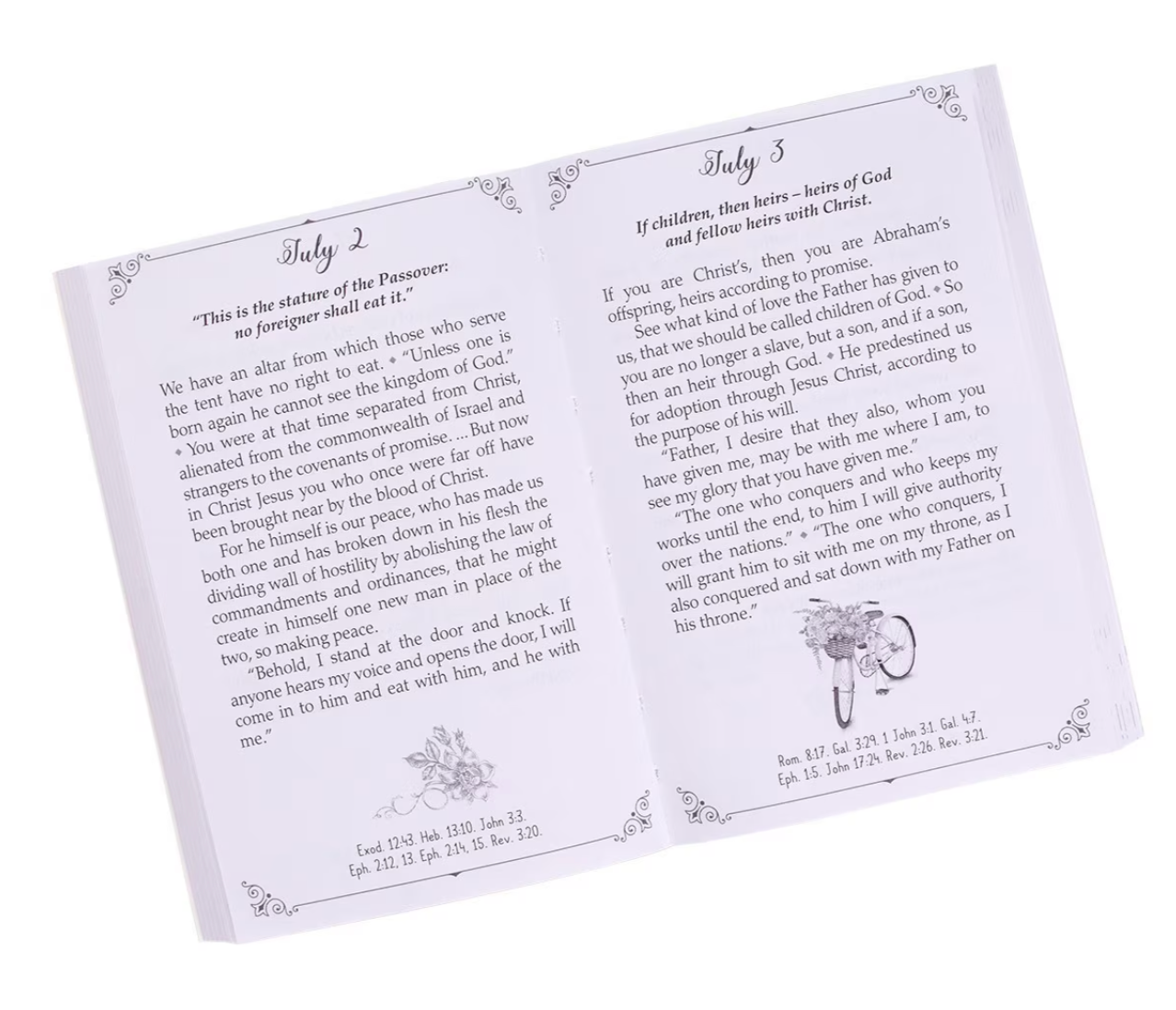 Daily Light for Your Daily Path Devotional